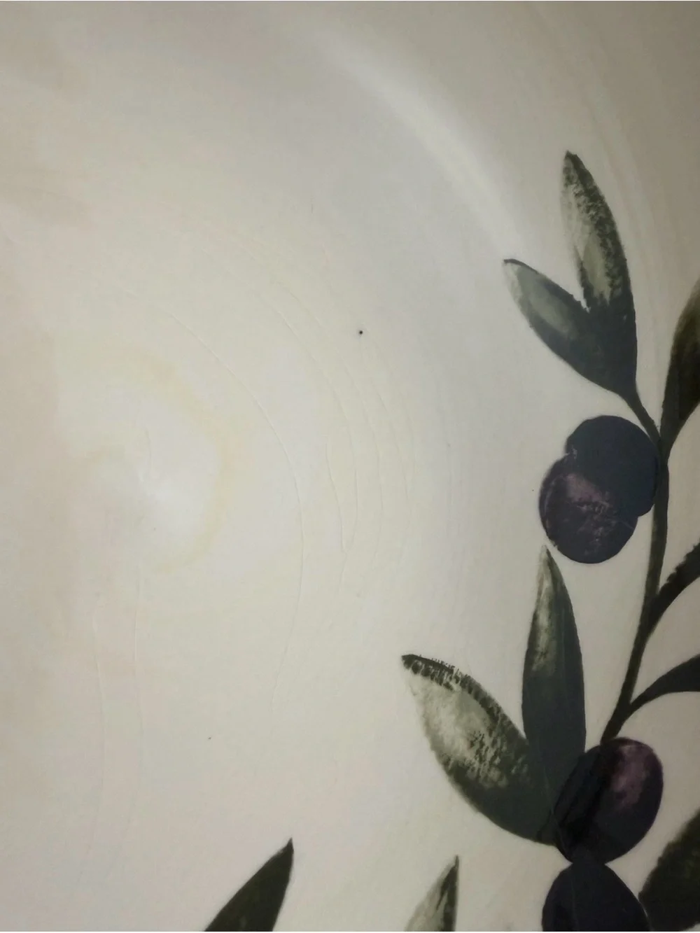 Williams Sonoma Liguria Black Olive 13